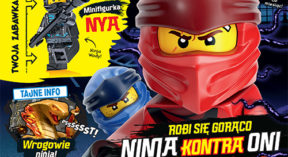 LEGO® NINJAGO®