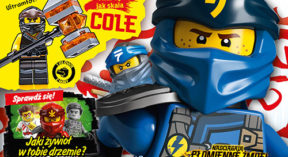 LEGO® NINJAGO®