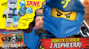 LEGO® NINJAGO®