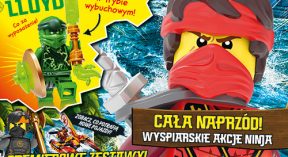 LEGO® NINJAGO®
