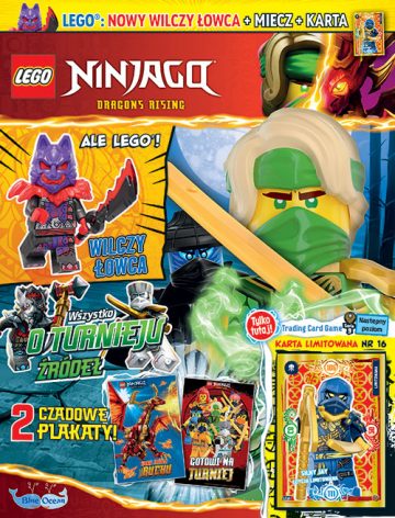 LEGO® NINJAGO®