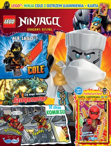 LEGO® NINJAGO®