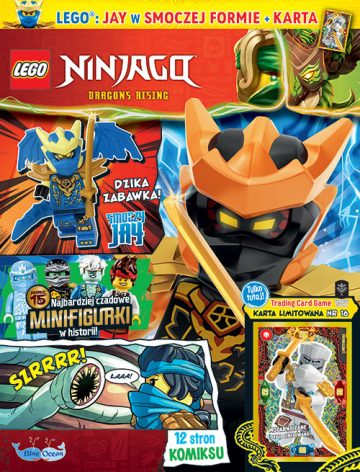 LEGO® NINJAGO®