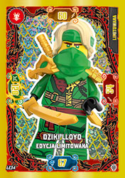 dwie karty limitowane kolekcji LEGO® NINJAGO® TCG11