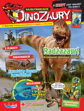 Homepage