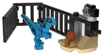 raptor na wybiegu