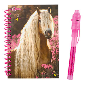 sekretnik z magicznym pisakiem