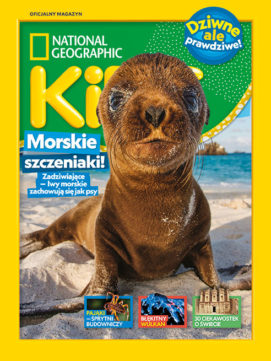 Homepage