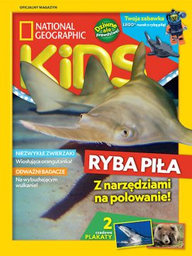 Homepage