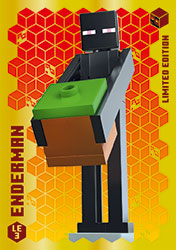 karta limitowana LEGO Minecraft TCC3