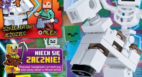 LEGO® Minecraft™