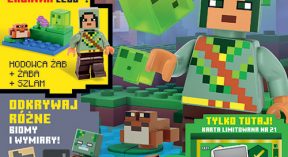 LEGO® Minecraft™