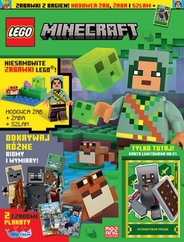 LEGO® Minecraft™