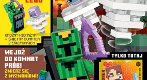 LEGO® Minecraft™