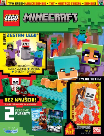 LEGO® Minecraft™