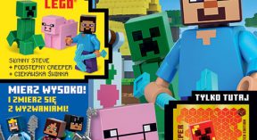 LEGO® Minecraft™