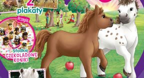 Horse Club