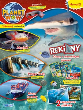 Homepage