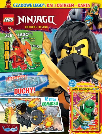 LEGO® NINJAGO®