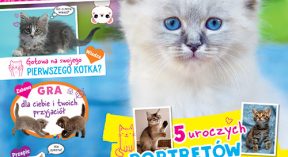 Funny Pets