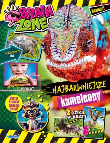 BrainZone