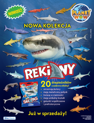 Planet Wow: Sharks — kolekcja