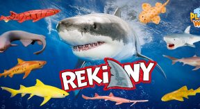Planet Wow: Sharks — kolekcja