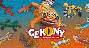 Planet Wow: Gekony. Kolekcja
